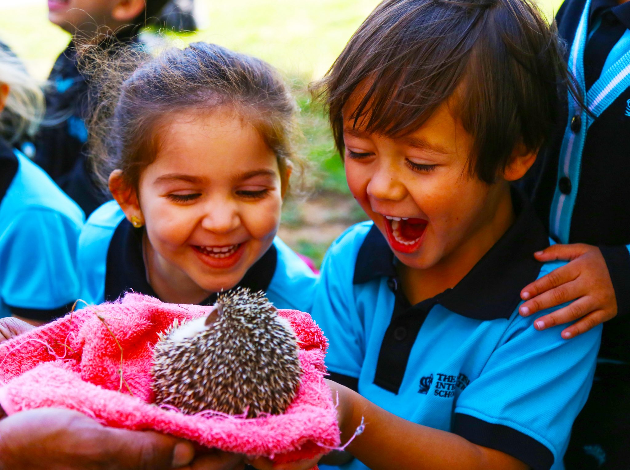 Children at the British International School Abu Dhabi learning about nature with a baby hedgehog