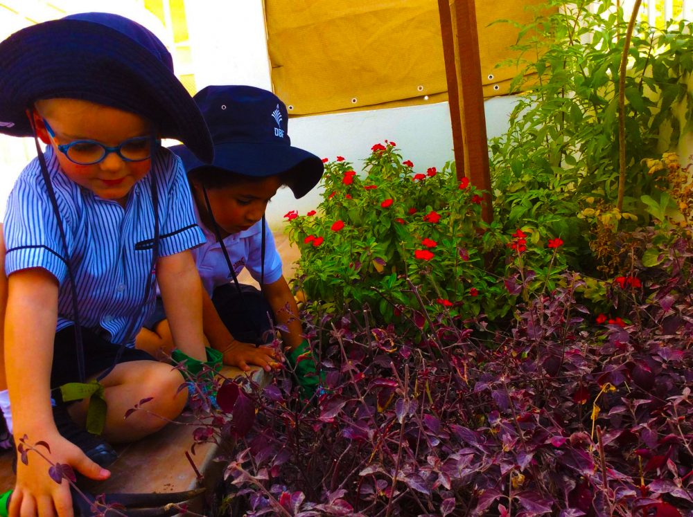 صورة فوتوغرافية للأطفال المشاركين في الأنشطة التعليمية المركزة على البيئة في مؤسسة دبي البريطانية في دبي
