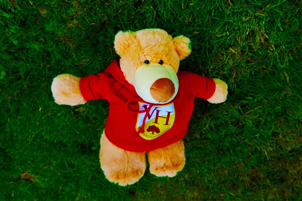 Image of the Victory heights Primary School VHP Teddy Bear that links home and school life for children