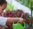 Ein Kind mit Wasser kann die Nachhaltigkeit und die Umweltfreundlichkeit der Fairgreen International School Dubai hervorheben