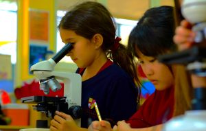 Photograph of children at Raffles World Academy school in Dubai studying the International Baccalaureate, here in a Biology lesson