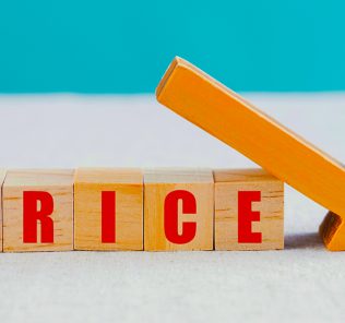 School fee rises BLOCKED by KHDA regulator as inflation crashes negative in Dubai and prices tumble.