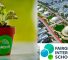 مدرسة Fairgreen الدولية ومدرسة أربور دبي فائزان مشتركان بجائزة SchoolsCompared.com لأفضل المدارس لأفضل مدرسة للابتكار في الإمارات 2021-22