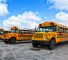 سلامة الحافلات المدرسية
