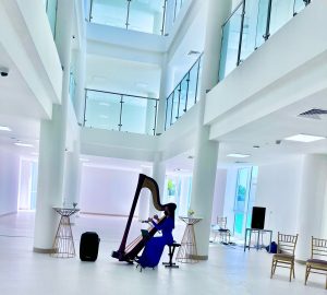 Harfenistin bei der offiziellen Eröffnung der Durham School Dubai