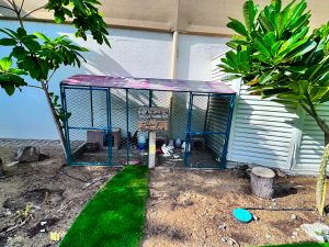 Der Green Grass Nursery Hühner- und Taubenstall