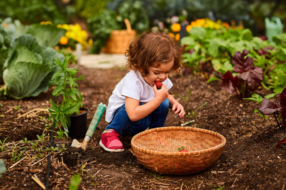 I play in the garden. Огород для детей. Дети в саду. Садоводство для детей. Растения сада для детей.