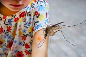 Dengue Fever Hits UAE as Government Fights Back to Protect Children and Families.