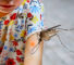 La fiebre del dengue golpea a los Emiratos Árabes Unidos mientras el gobierno lucha para proteger a los niños y las familias.