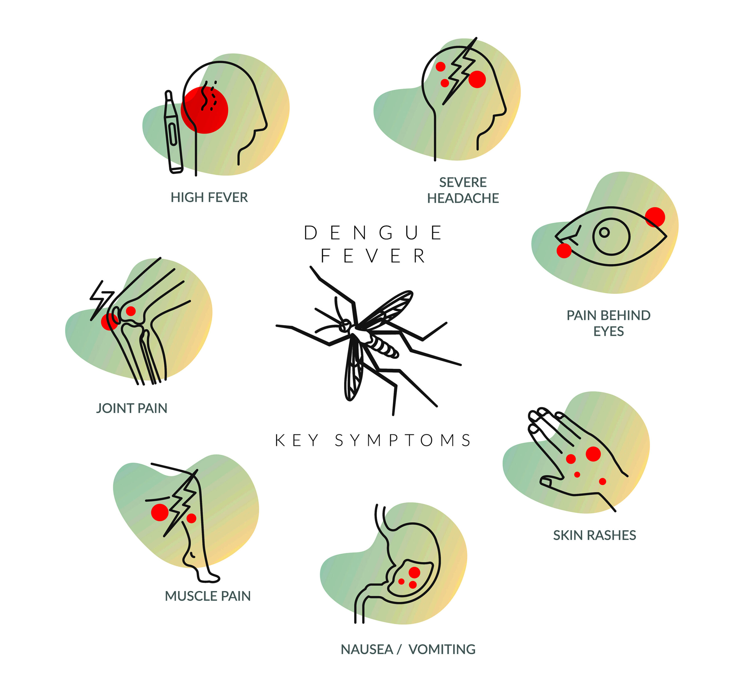 Dengue Fever in the UAE cases rise after weather changes and floods.